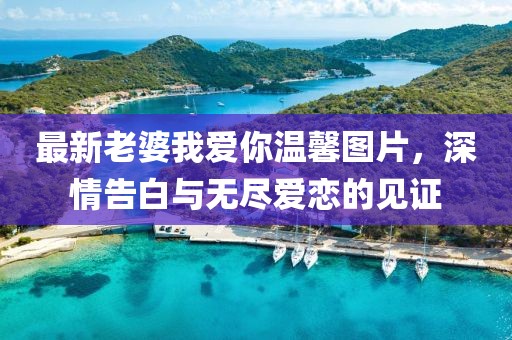 最新老婆我爱你温馨图片，深情告白与无尽爱恋的见证