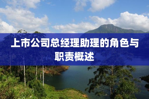 上市公司总经理助理的角色与职责概述