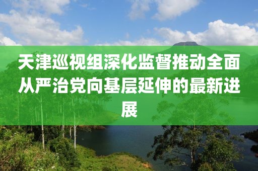 天津巡视组深化监督推动全面从严治党向基层延伸的最新进展