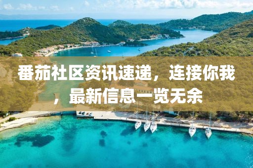 番茄社区资讯速递，连接你我，最新信息一览无余
