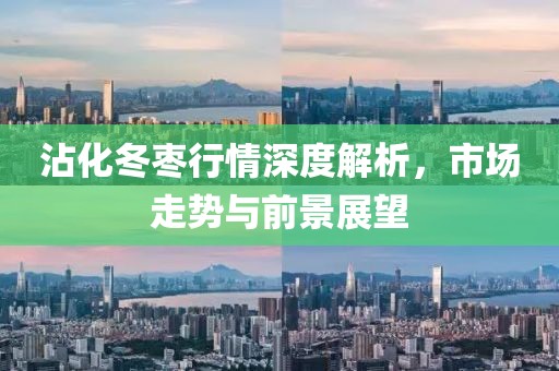沾化冬枣行情深度解析，市场走势与前景展望