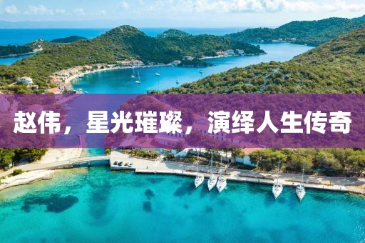 赵伟，星光璀璨，演绎人生传奇
