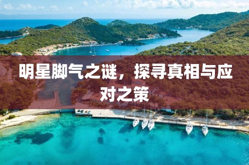 烟花不堪剪 第10页
