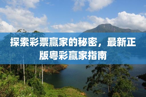探索彩票赢家的秘密，最新正版粤彩赢家指南