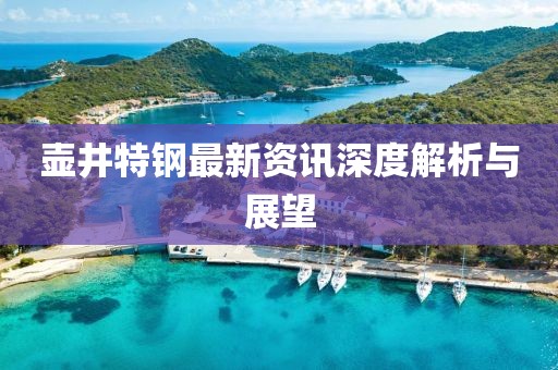 壶井特钢最新资讯深度解析与展望