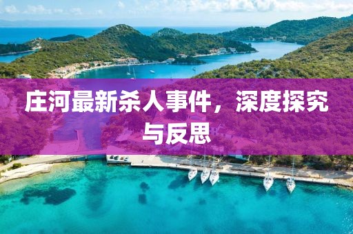 庄河最新杀人事件，深度探究与反思
