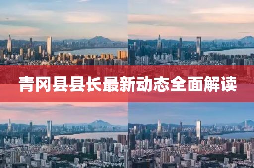 青冈县县长最新动态全面解读