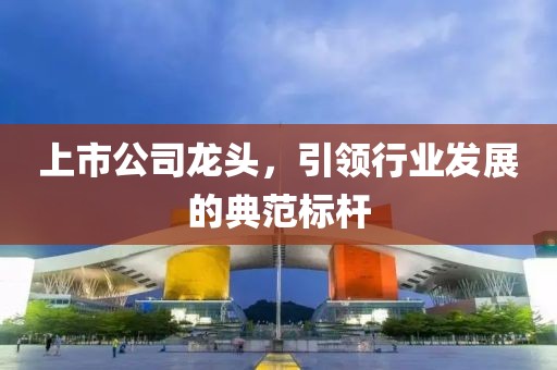 上市公司龙头，引领行业发展的典范标杆
