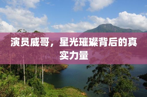 演员威哥，星光璀璨背后的真实力量