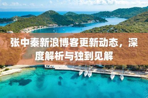 张中秦新浪博客更新动态，深度解析与独到见解