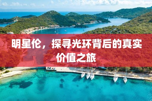 明星伦，探寻光环背后的真实价值之旅
