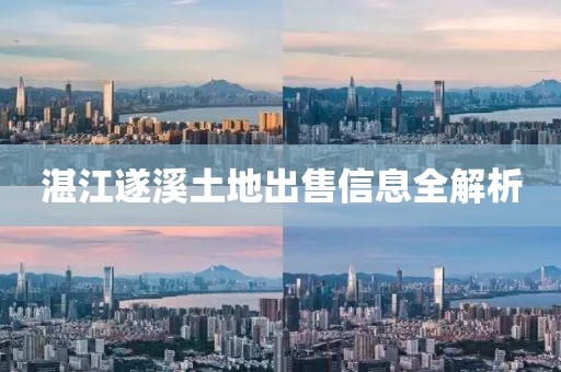 湛江遂溪土地出售信息全解析
