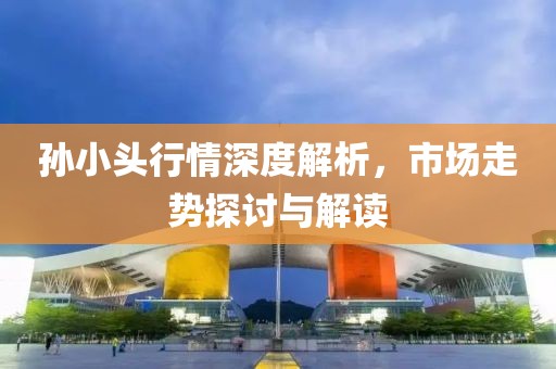 孙小头行情深度解析，市场走势探讨与解读