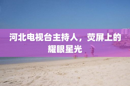 河北电视台主持人，荧屏上的耀眼星光