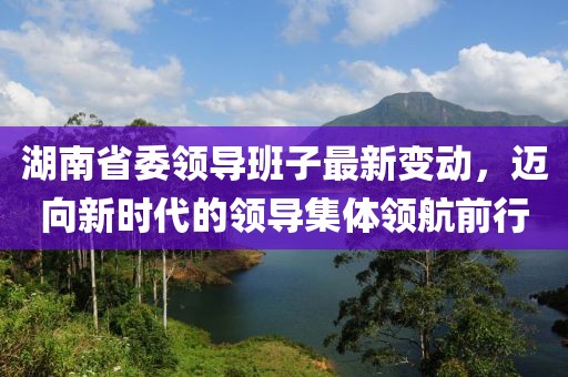 湖南省委领导班子最新变动，迈向新时代的领导集体领航前行