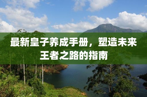 最新皇子养成手册，塑造未来王者之路的指南