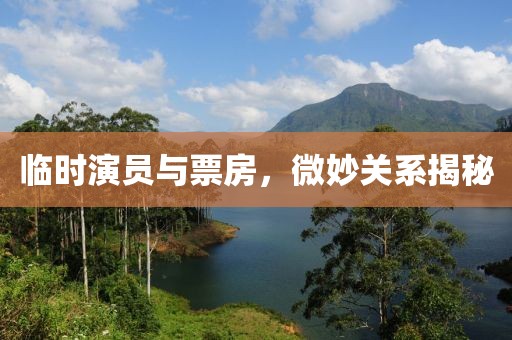 临时演员与票房，微妙关系揭秘
