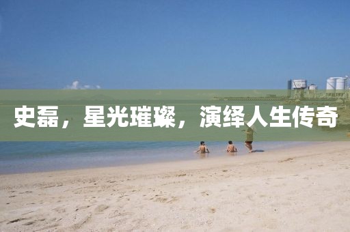 史磊，星光璀璨，演绎人生传奇