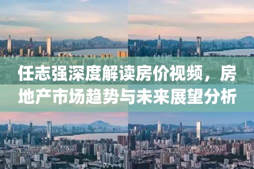 任志强深度解读房价视频，房地产市场趋势与未来展望分析