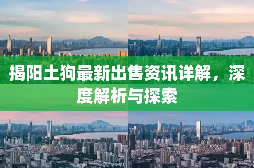 揭阳土狗最新出售资讯详解，深度解析与探索