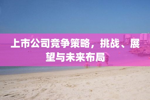 上市公司竞争策略，挑战、展望与未来布局