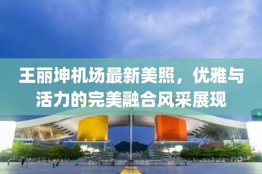 王丽坤机场最新美照，优雅与活力的完美融合风采展现