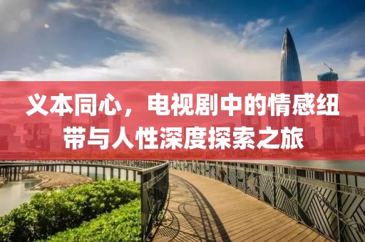 义本同心，电视剧中的情感纽带与人性深度探索之旅