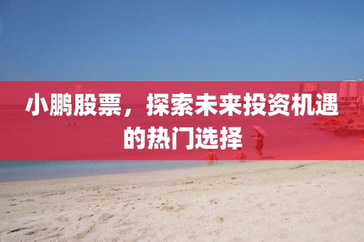小鹏股票，探索未来投资机遇的热门选择