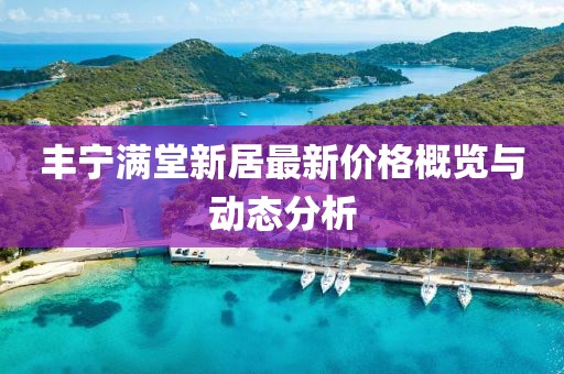 别再提起 第21页