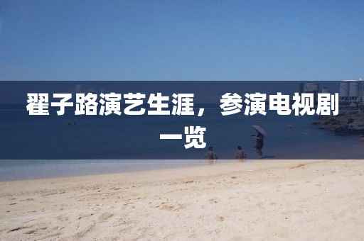 翟子路演艺生涯，参演电视剧一览