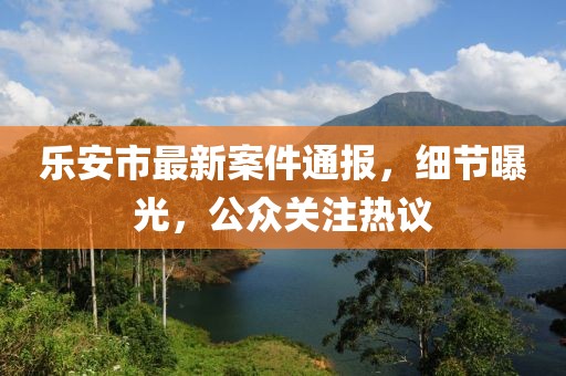 乐安市最新案件通报，细节曝光，公众关注热议