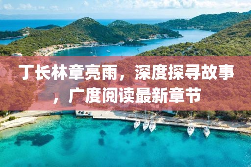 丁长林章亮雨，深度探寻故事，广度阅读最新章节