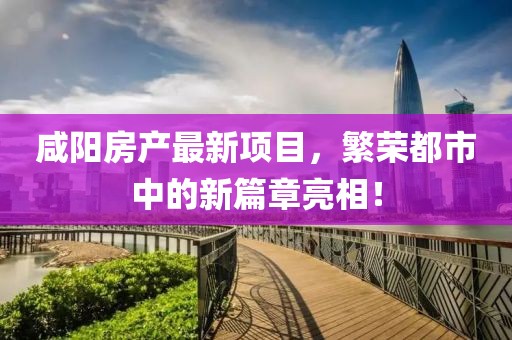 咸阳房产最新项目，繁荣都市中的新篇章亮相！