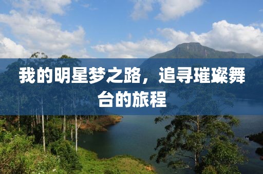 我的明星梦之路，追寻璀璨舞台的旅程