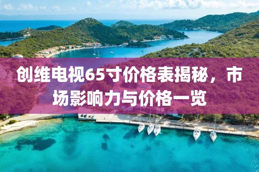 创维电视65寸价格表揭秘，市场影响力与价格一览