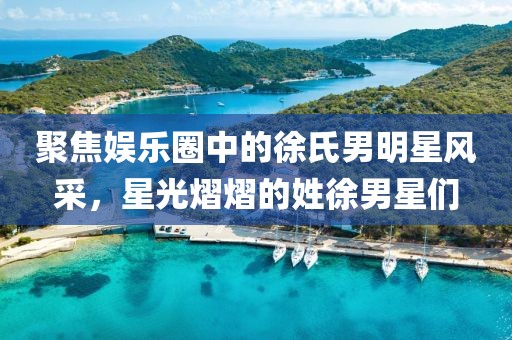 聚焦娱乐圈中的徐氏男明星风采，星光熠熠的姓徐男星们