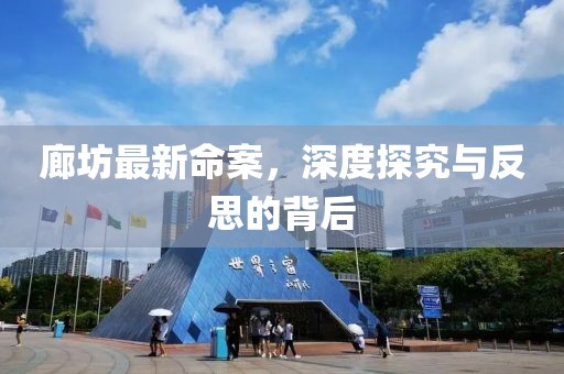 廊坊最新命案，深度探究与反思的背后