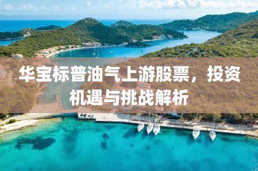华宝标普油气上游股票，投资机遇与挑战解析