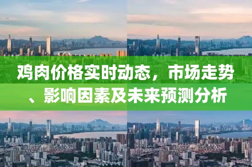 鸡肉价格实时动态，市场走势、影响因素及未来预测分析