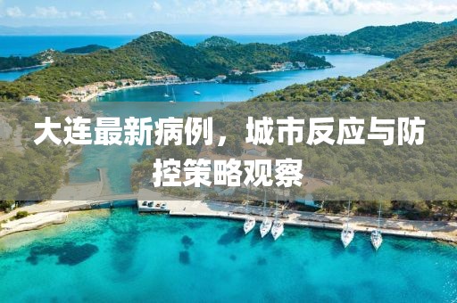 大连最新病例，城市反应与防控策略观察
