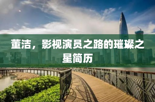 董洁，影视演员之路的璀璨之星简历