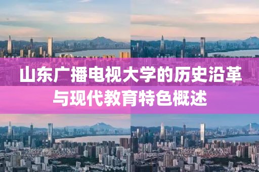 山东广播电视大学的历史沿革与现代教育特色概述