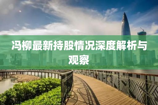 冯柳最新持股情况深度解析与观察