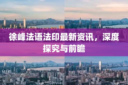 徐峰法语法印最新资讯，深度探究与前瞻
