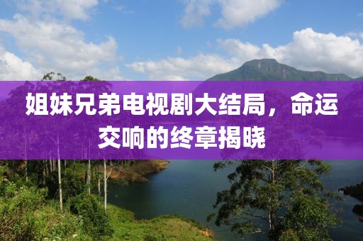 姐妹兄弟电视剧大结局，命运交响的终章揭晓