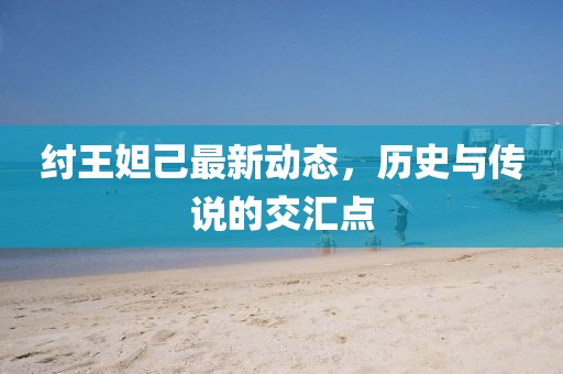 纣王妲己最新动态，历史与传说的交汇点