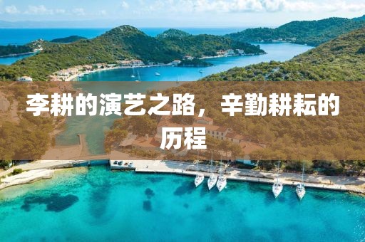李耕的演艺之路，辛勤耕耘的历程
