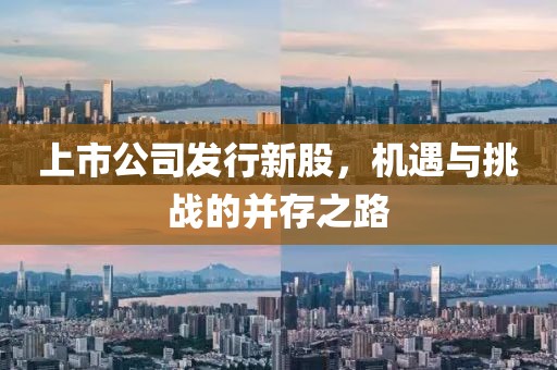 上市公司发行新股，机遇与挑战的并存之路