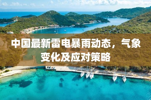 中国最新雷电暴雨动态，气象变化及应对策略
