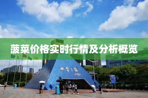 菠菜价格实时行情及分析概览